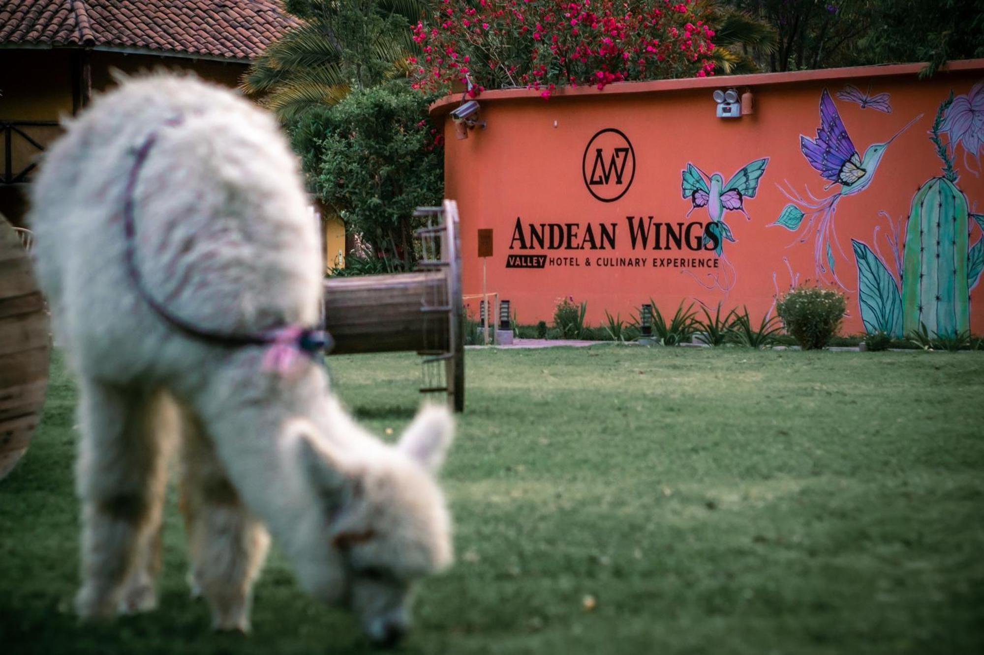 Andean Wings Valley Urubamba Extérieur photo